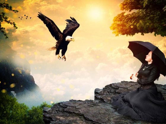 Ein schwarzer Seeadler mit einem weißen Kopf, das amerikanische Wappentier, ist im Landeanflug begriffen. Er will auf einem schroffen Felsen landen, auf dem eine sehr große, graue Echse sitzt. Am Bildrand kann man eine weibliche Figur mit einem Regenschirm erkennen.