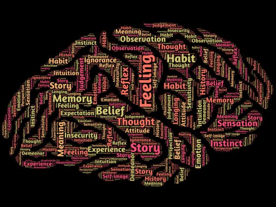Man sieht ein gezeichnetes Gehirn, dessen einzelne Areale mit englischen Ausdrücken benannt sind, wie Feeling, Habit, Belief, Thought, Memory, Story Experience, Sensation, Meaning, Ignorance, oder Habit.