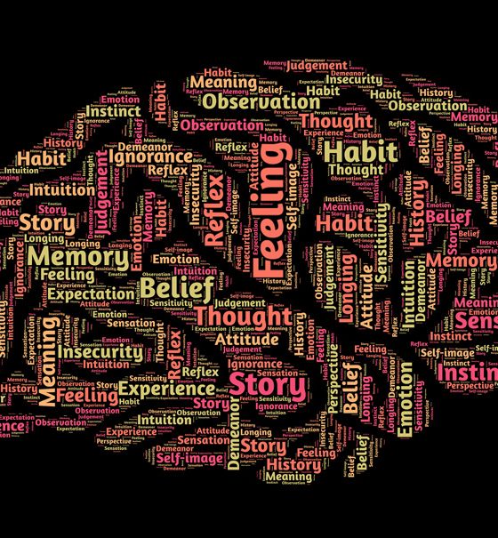 Man sieht ein gezeichnetes Gehirn, dessen einzelne Areale mit englischen Ausdrücken benannt sind, wie Feeling, Habit, Belief, Thought, Memory, Story Experience, Sensation, Meaning, Ignorance, oder Habit.